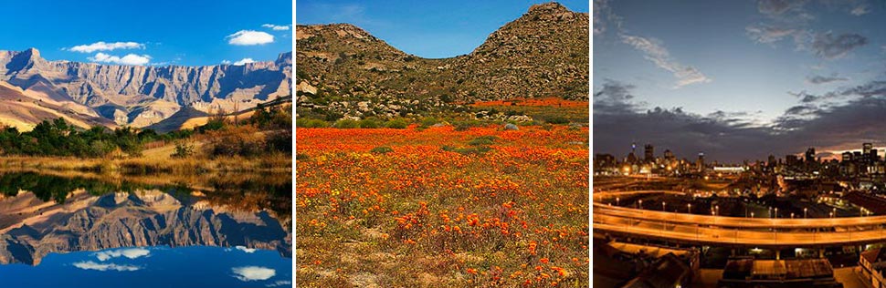 Firelight Tours South African nature reserves